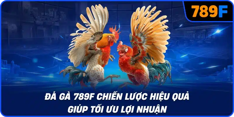 Đá gà 789F chiến lược hiệu quả giúp tối ưu lợi nhuận
