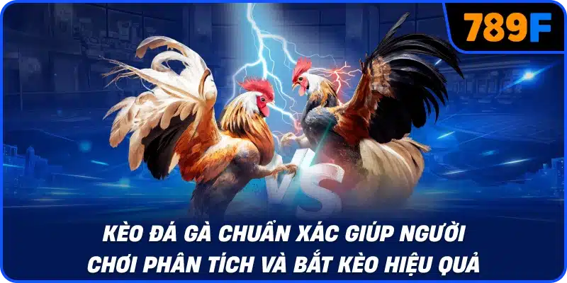 Kèo đá gà chuẩn xác giúp người chơi phân tích và bắt kèo hiệu quả