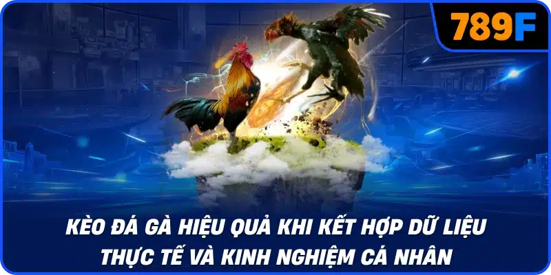 Kèo đá gà hiệu quả khi kết hợp dữ liệu thực tế và kinh nghiệm cá nhân